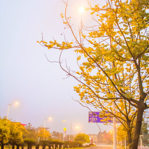 生日快乐