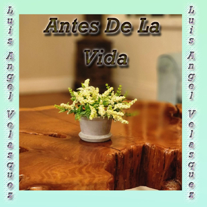Volvere