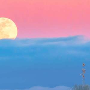 清心音·乱魄抄