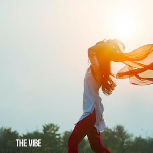 The vibe