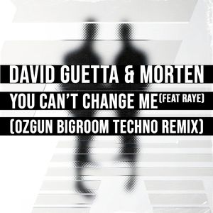 You Can't Change Me (Ozgun Bigroom Techno Remix)