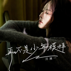 再不是少年模样