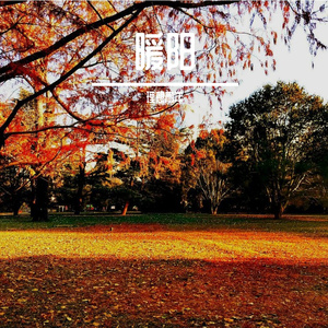 暖阳-整曲