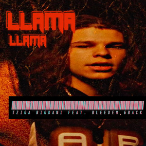LLAMA