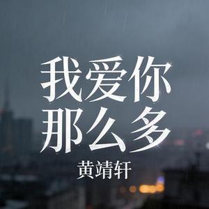 我爱你那么多 (Cover 萧亚轩)