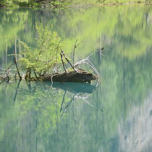 如果能与你并肩