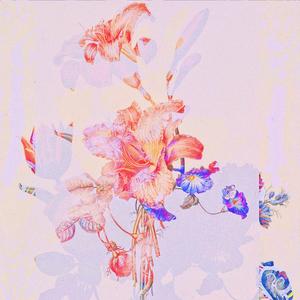 SÓ PORQUE SOU VAQUEIRO