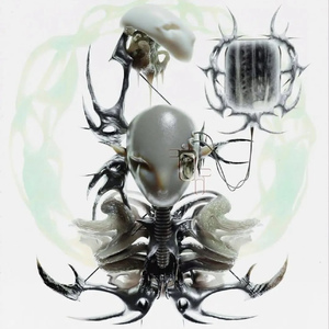 ˖˚˳ ଘ(⸝⸝ᴗ͈   ̫ ᴗ͈⸝⸝)ॢ* ੈ ♡‧₊ ˚