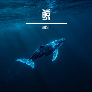 鲸