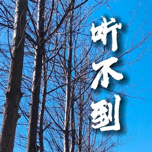 原创《听不到》DSR苏.mp3
