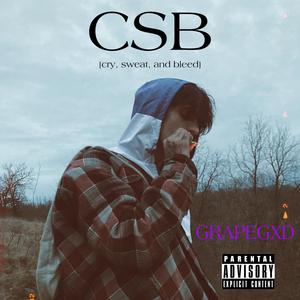 CSB