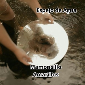 Espejo de carton