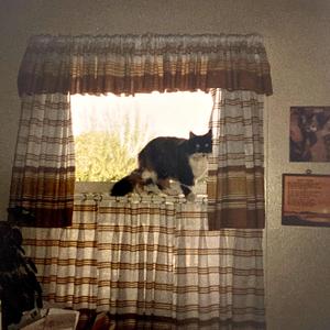 Will You Think About Me Too?