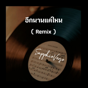 อีกนานแค่ไหน (Remix)