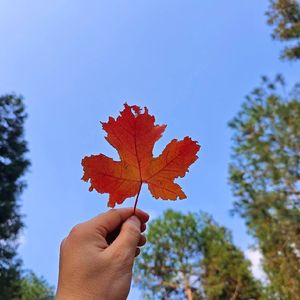 一眼万年，孤独终老