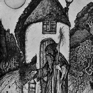 Whispers of Ancient Trees