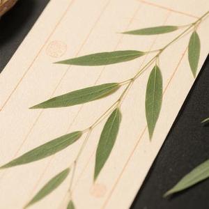 柳叶笺 (Cover 朱彦安 & 张诗莉)