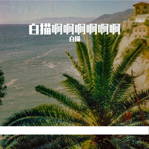 春日林间蝴蝶嬉乐之韵