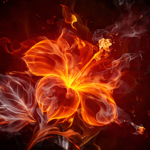 阿西里西（Prod.by yocho）