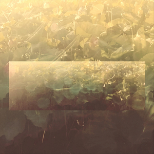 Refract I