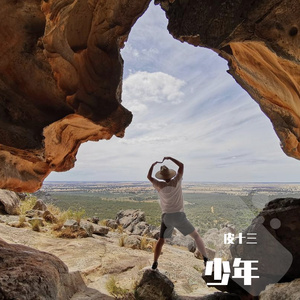 那些花儿 口琴版