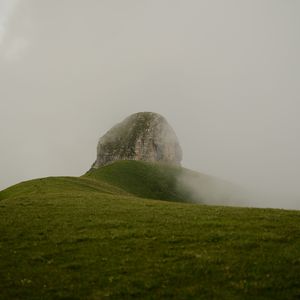 山河枕梦