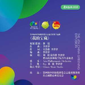 我的宝藏 instrument