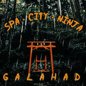 Spa City Ninja