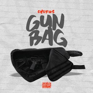 Gun bag