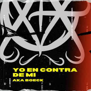Yo en Contra de Mi