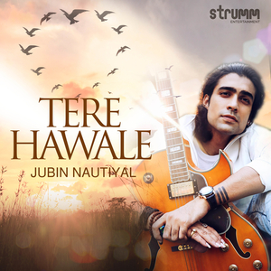 Tere Hawale