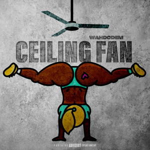 Ceiling Fan