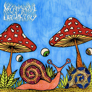 In My Shell Is The Safest Place To Hide From People Like You