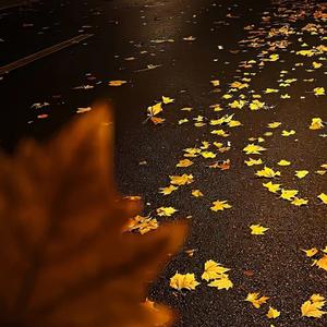 曼陀罗华（那年我18你16）