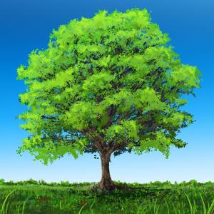 with grass under my feet and eyes to the sky, the humming in my skull finally slows to a dull drone and i find myself able to exhale fully again.