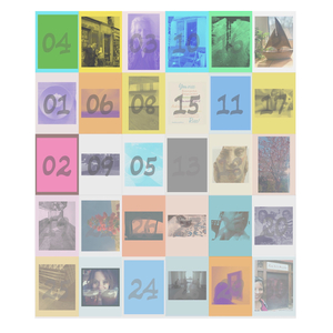 Does the Plum Tree Know How Beautiful she is?