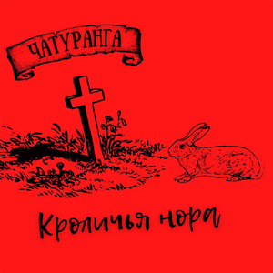Кроличья нора