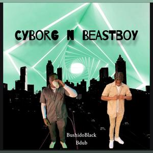 Cyborg n Beastboy
