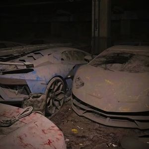 FAintedP（柏林之声）