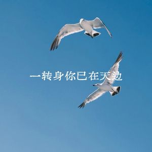 一转身你已在天边