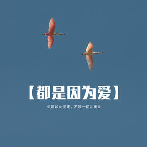 都是因为爱