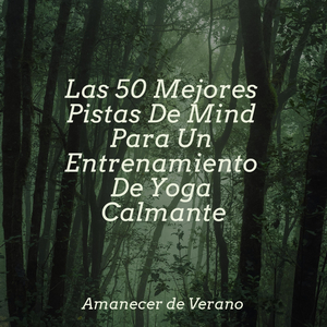 Envuelto en el sueño