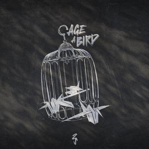 Cage A Bird