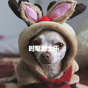 Magnificent Son Montuno Trumpet - Vibe for Midnight Journeys