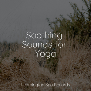 Tides of Delta Waves