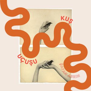 Kuş Uçuşu
