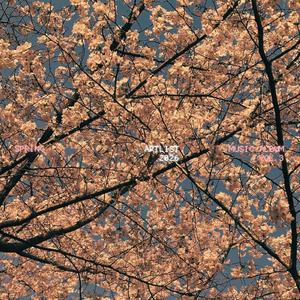 Silver Ripples on the Canal
