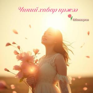 Чиний хавар иржээ