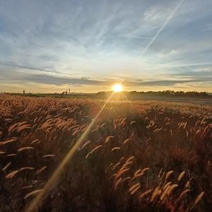 亲爱的你在想我吗 (Live)