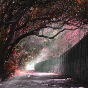 deadmau5-wake up（NM$L Music remix）